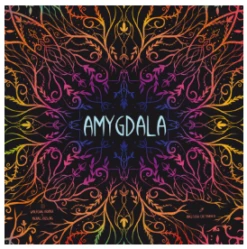 Amygdala
